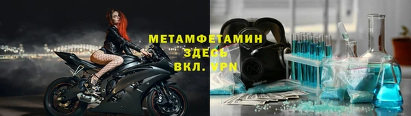 сатива Беломорск