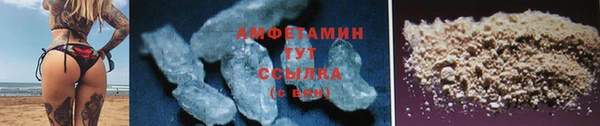 сатива Беломорск