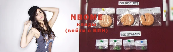 сатива Беломорск