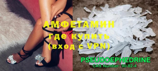 сатива Беломорск