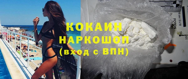 сатива Беломорск